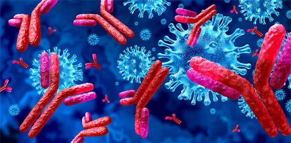 3D-Darstellung von Antikörpern und Immunglobulinen, die Viren angreifen.