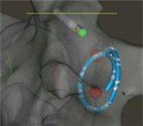 Elektrophysiologie