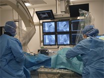 Elektrophysiologie