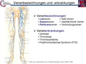 Erläuterung Venenerkrankungen